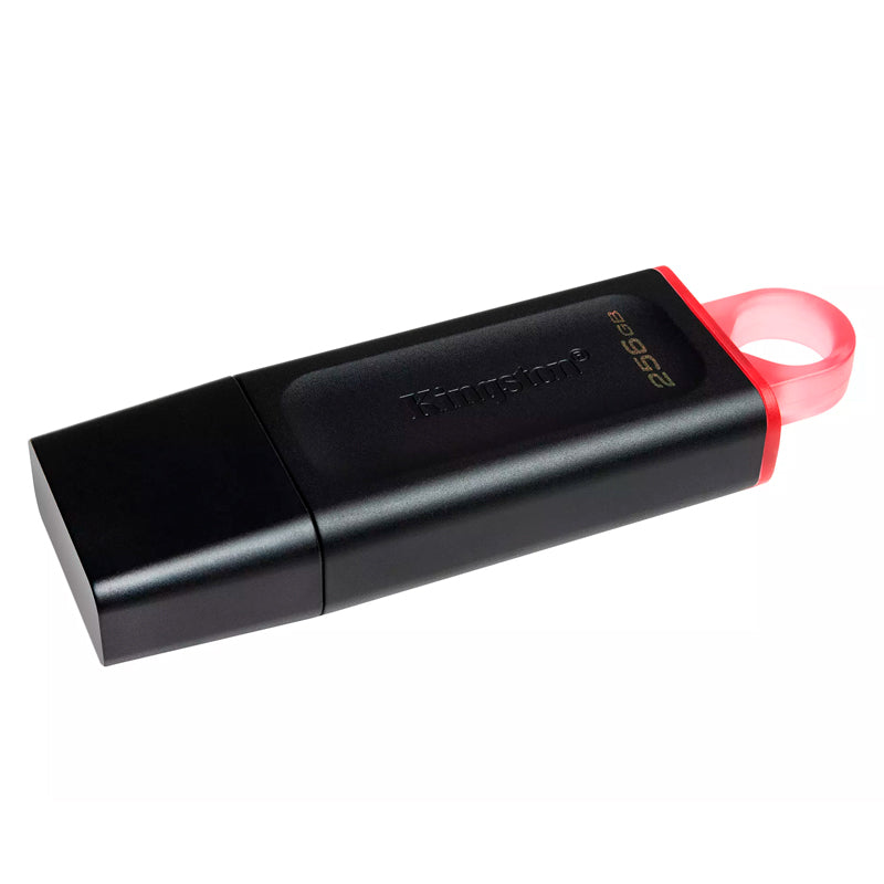 Memoria USB datatravele DTX 256GB 3.2 g1