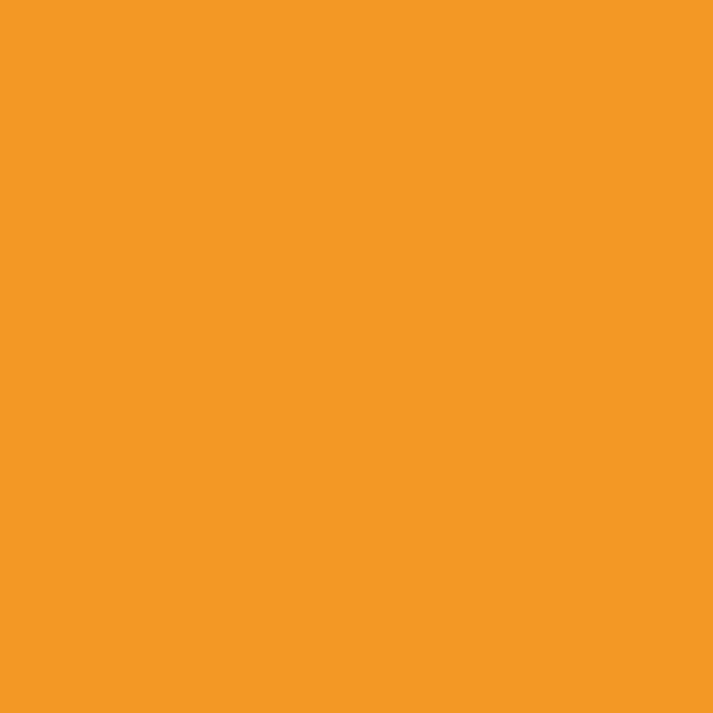 Cartulina naranja 50 x 65 cm unidad